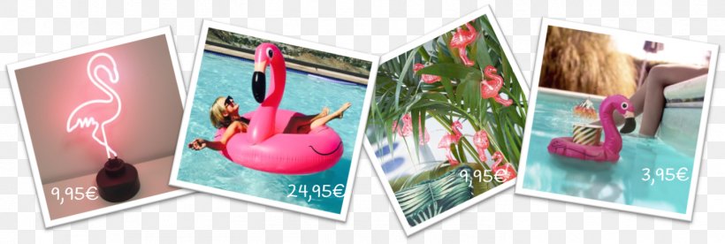 Greater Flamingo Paper Cote De Popularité Art, PNG, 1469x495px, Greater Flamingo, Art, Brand, Flamingos, Nail Art Download Free