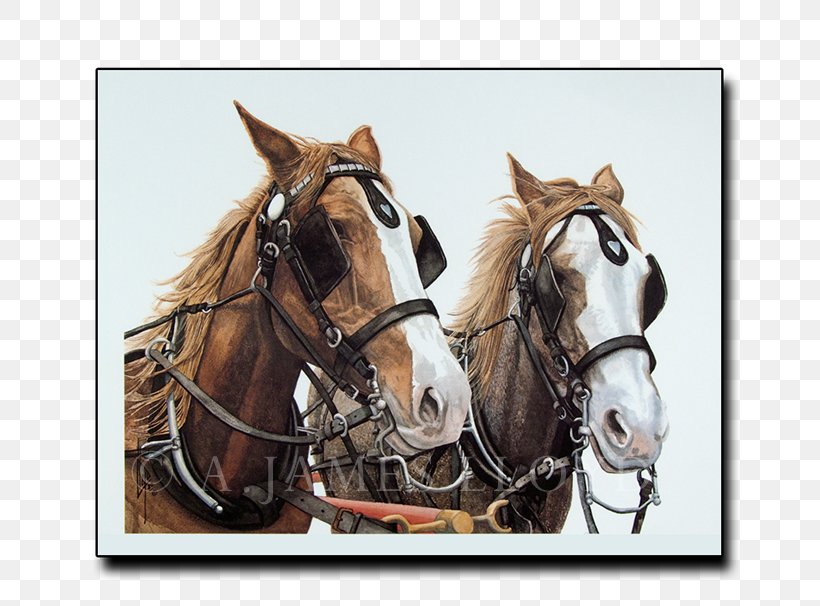Horse Harnesses Mustang Stallion Mare Halter, PNG, 771x606px, 2019 Ford Mustang, Horse Harnesses, Bridle, Ford Mustang, Halter Download Free