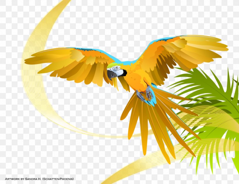 Parrot Macaw DeviantArt Bird, PNG, 900x695px, Parrot, Animal, Art, Artist, Beak Download Free