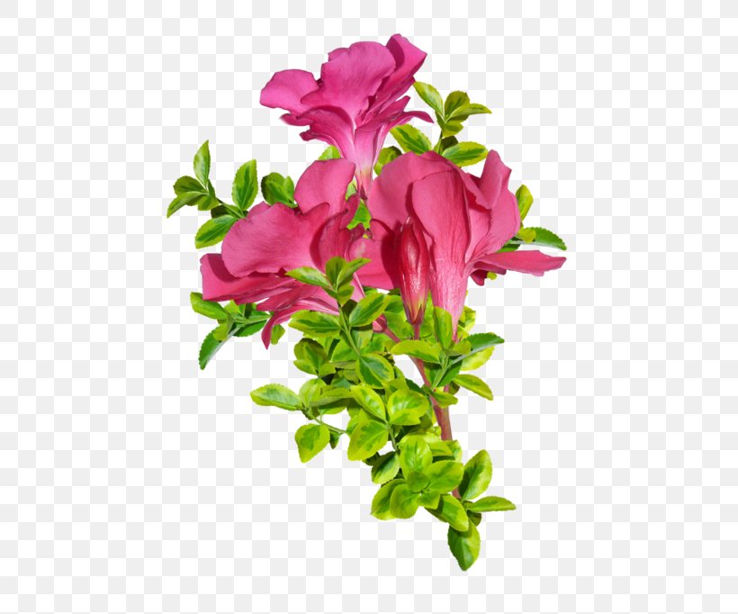 Damask Rose Flower Pink, PNG, 600x682px, Damask Rose, Annual Plant, Artificial Flower, Azalea, Blossom Download Free