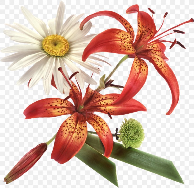 Flower Clip Art, PNG, 1600x1550px, Flower, Cut Flowers, Flora, Floral Design, Floristry Download Free
