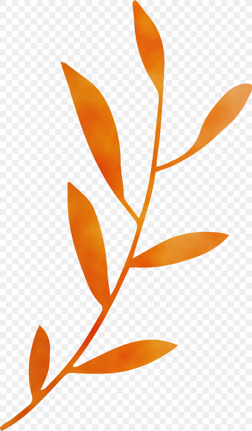 Plant Stem Leaf Orange S.a. Font, PNG, 1754x3000px, Leaf Branch, Biology, Leaf, Orange Sa, Paint Download Free
