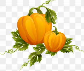 Pumpkin - Royalty-free Photography Clip Art PNG