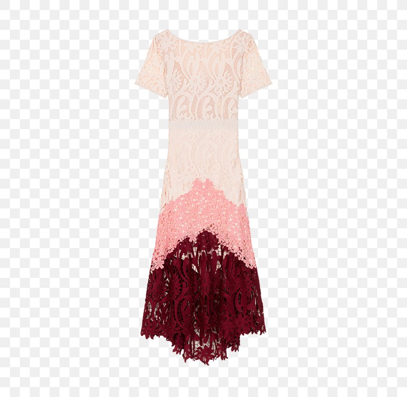 Dress Clothing Lace Sleeve Fashion, PNG, 800x800px, Dress, Blouse, Clothing, Cocktail Dress, Collar Download Free