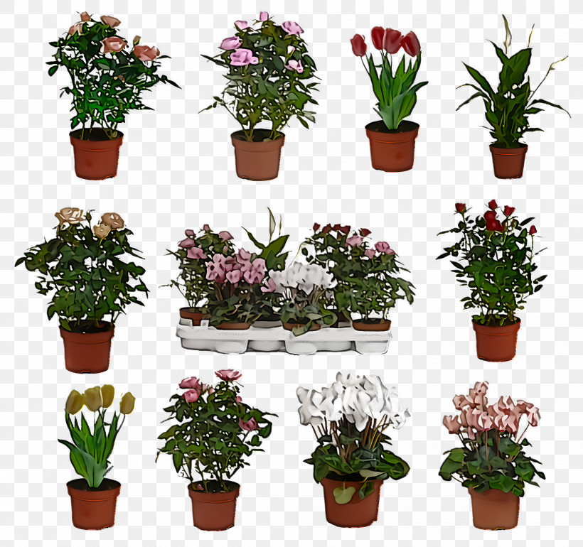 Flower Flowerpot Plant Houseplant Grass, PNG, 2064x1940px, Flower, Annual Plant, Flowerpot, Grass, Herb Download Free