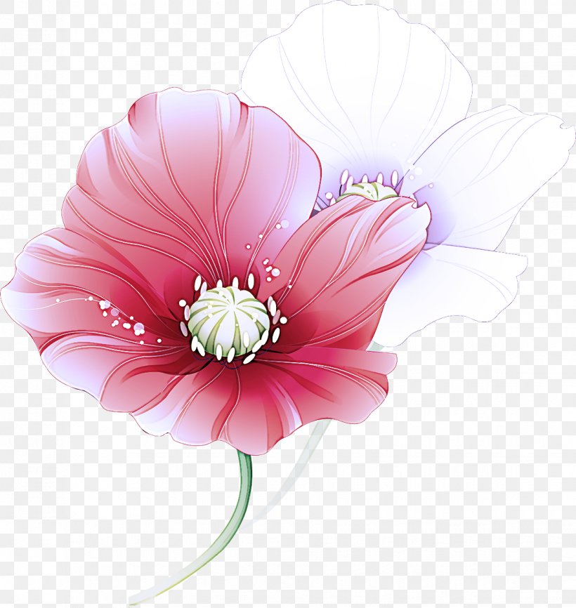 Pink Petal Flower Gerbera Plant, PNG, 1135x1200px, Pink, Barberton Daisy, Cut Flowers, Flower, Flowering Plant Download Free