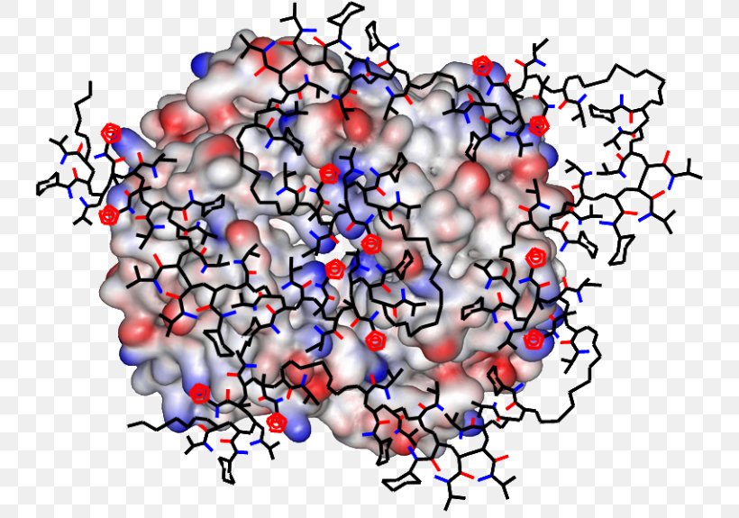 Ramachandran Plot Structural Biology Protein Sequence Alignment Clip Art, PNG, 746x575px, Ramachandran Plot, Area, Atomism, Biology, Chemical Element Download Free