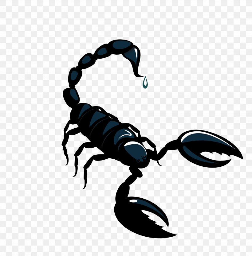 Scorpion Astrological Sign Horoscope Astrology, PNG, 3563x3625px, Scorpion, Arthropod, Ascendant, Astrological Compatibility, Astrological Sign Download Free