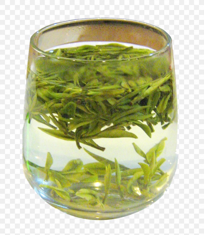 White Tea Green Tea Oolong Longjing Tea, PNG, 887x1024px, Tea, Bai Mudan, Bancha, Biluochun, Black Tea Download Free