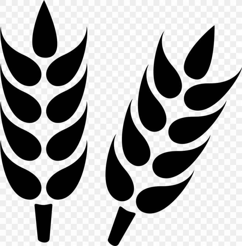 Wheat Cereal, PNG, 981x1000px, Wheat, Black And White, Cereal, Ear, Flower Download Free