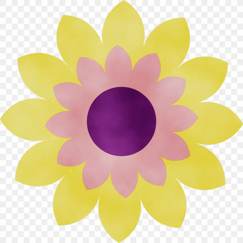 Flower Cut Flowers Common Daisy Photo Album Icon, PNG, 3000x3000px, Watercolor, Cartoon, Chamomile, Common Daisy, Cut Flowers Download Free