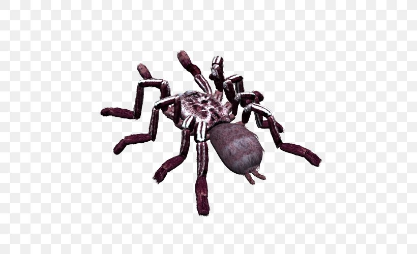 Spider Image File Formats Clip Art, PNG, 500x500px, Spider, Arachnid, Arthropod, Black House Spider, Chelicerae Download Free