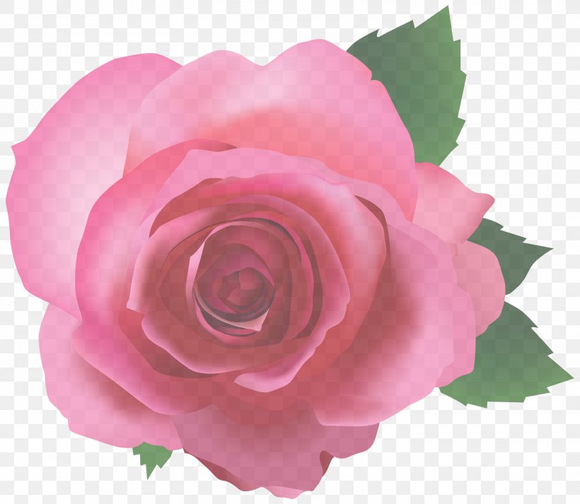 Garden Roses, PNG, 3000x2612px, Garden Roses, Floribunda, Flower, Flowering Plant, Hybrid Tea Rose Download Free