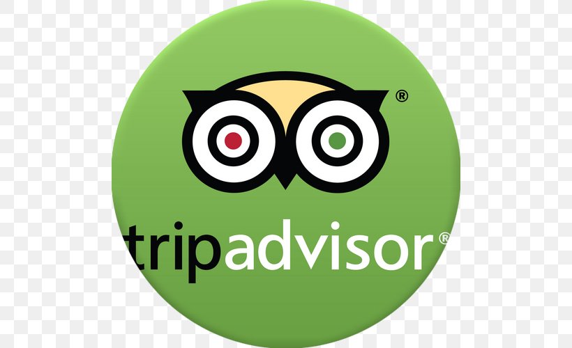 Owl Taipei Logo TripAdvisor Brand, PNG, 500x500px, Watercolor, Cartoon, Flower, Frame, Heart Download Free