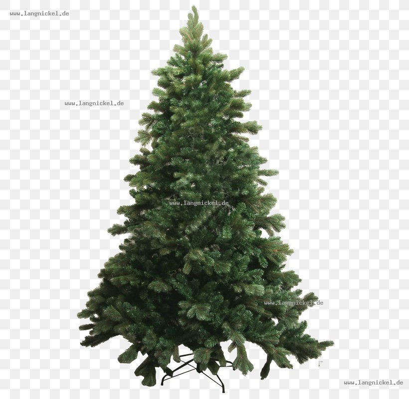 Spruce Abies Bracteata Tree Pine Douglas Fir, PNG, 800x800px, Spruce, Abies Bracteata, Artificial Christmas Tree, Balsam Fir, Biome Download Free