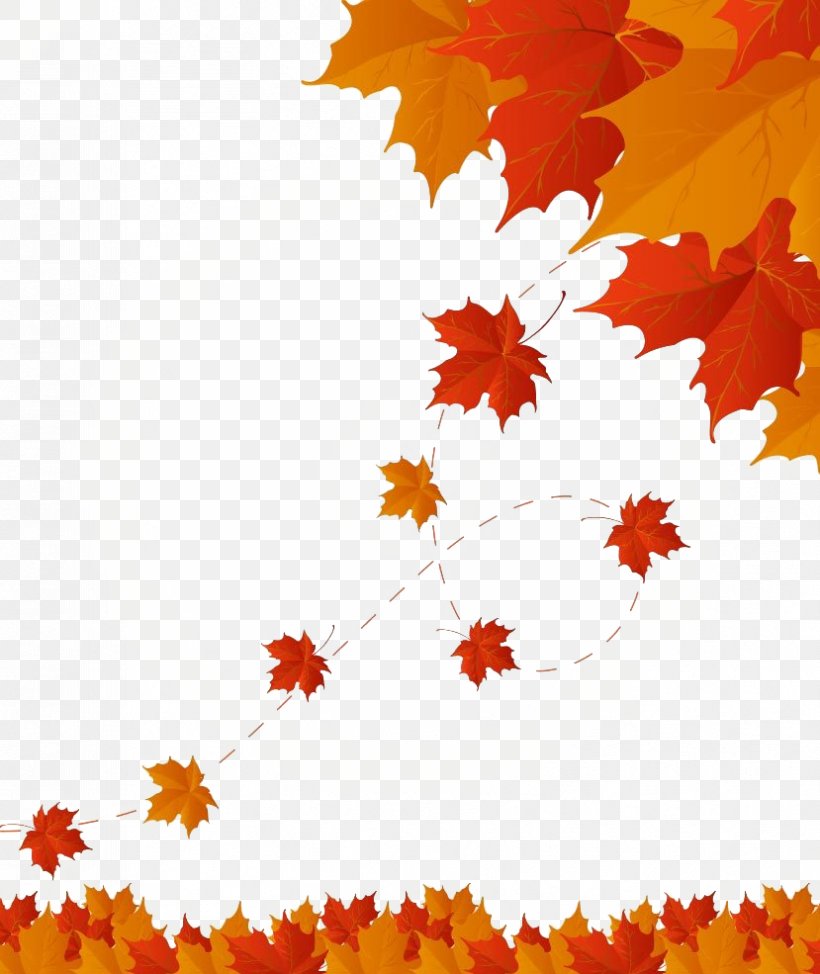 Autumn Leaf Color, PNG, 829x985px, Autumn Leaf Color, Autumn, Color, Flower, Flowering Plant Download Free