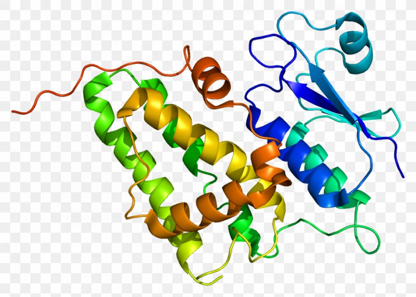 CLIC4 Aquaporin 4 Protein Gene Chloride Channel, PNG, 938x672px, Watercolor, Cartoon, Flower, Frame, Heart Download Free