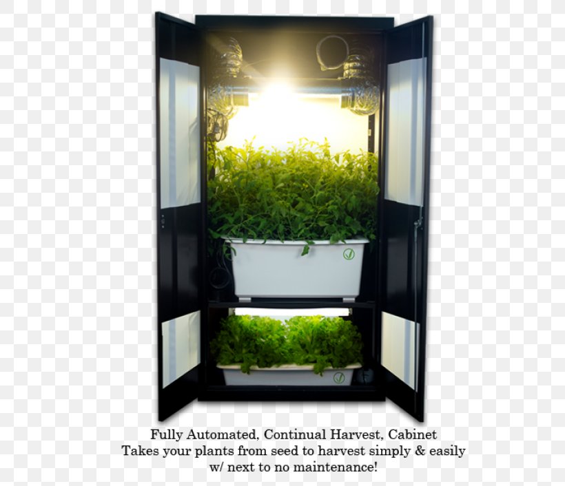 Grow Box Growroom Closet Hydroponics Grow Light Png 765x706px