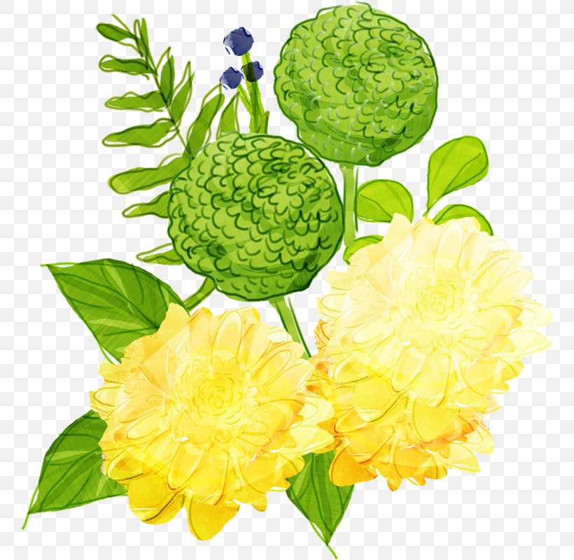 Flowering Plant Floristry Cut Flowers, PNG, 759x800px, Yellow, Color, Cut Flowers, Floral Design, Floristry Download Free