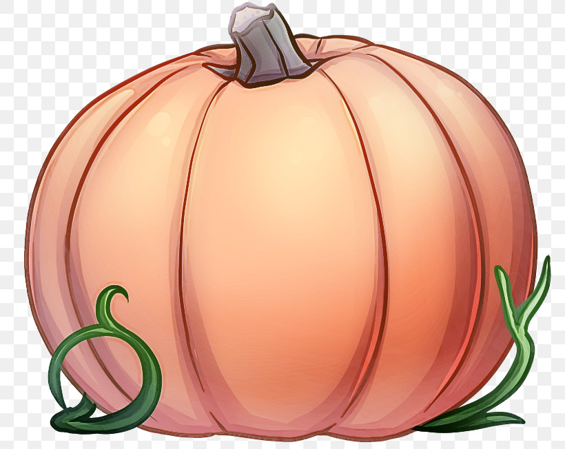 Pumpkin, PNG, 800x652px, Pumpkin, Calabaza, Cucurbita, Fruit, Orange Download Free