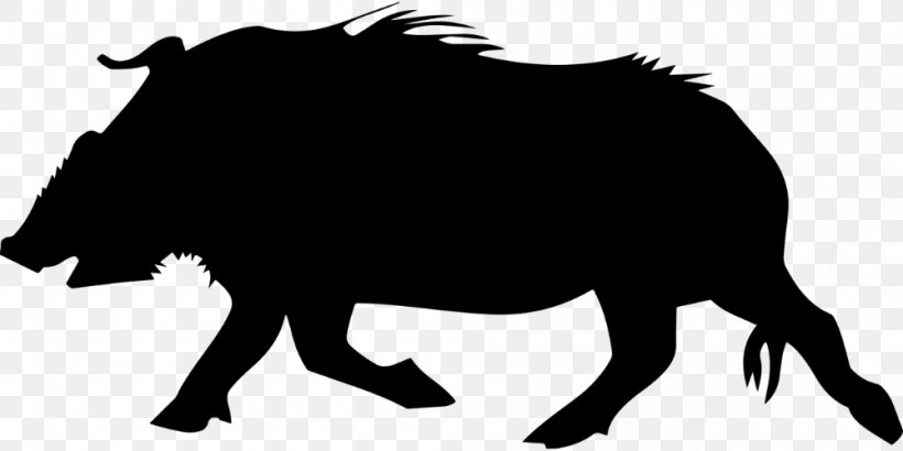 Wild Boar Drawing Clip Art, PNG, 1000x500px, Wild Boar, Art, Black And White, Cattle Like Mammal, Drawing Download Free