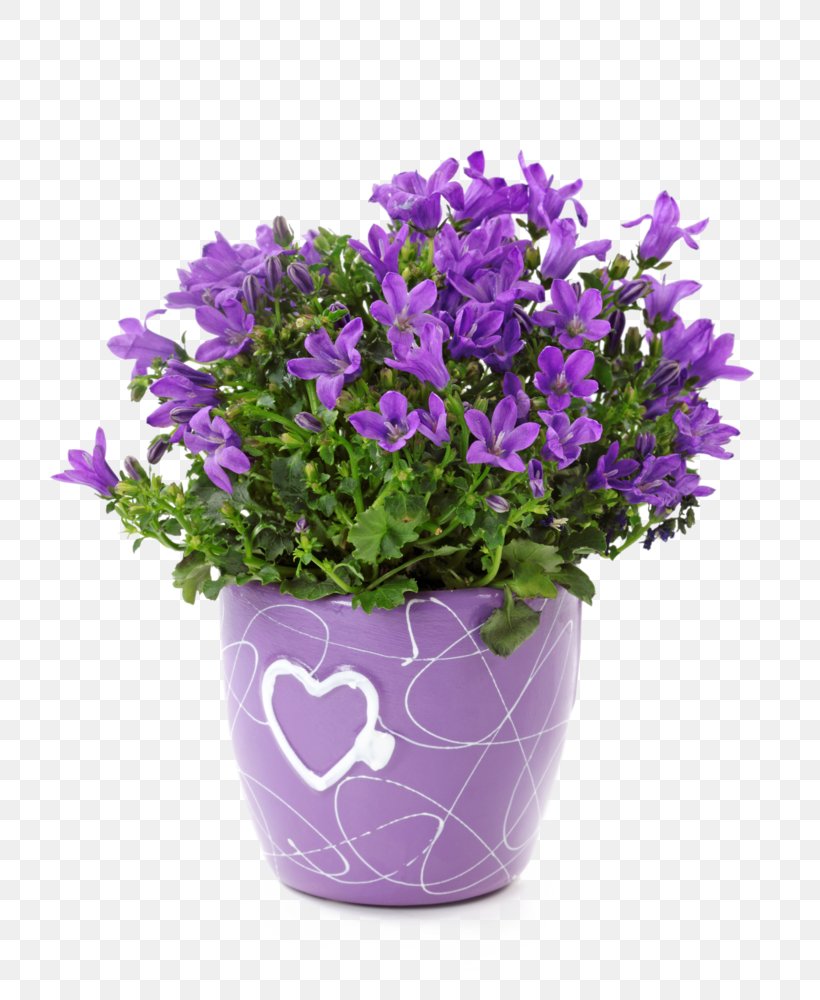 Bellflowers Cachepot Ceramic Garden Vase, PNG, 800x1000px, Bellflowers, Annual Plant, Artificial Flower, Bellflower, Bellflower Family Download Free