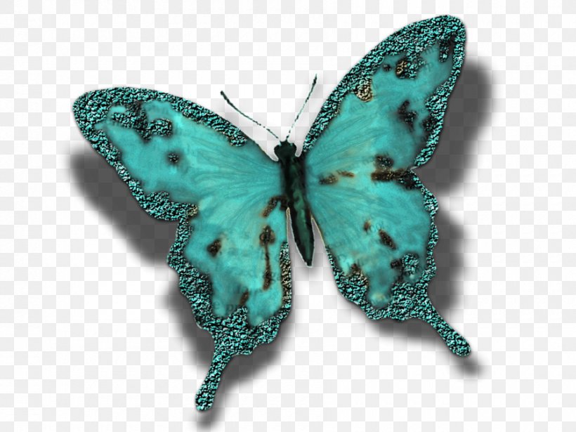 Butterfly Insect Turquoise Moth Pollinator, PNG, 900x675px, Butterfly, Brush Footed Butterfly, Butterflies And Moths, Insect, Invertebrate Download Free