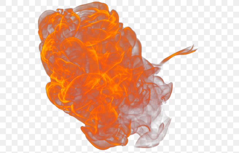 Fire Flame, PNG, 600x525px, Fire, Flame, Orange, Organism, Peach Download Free