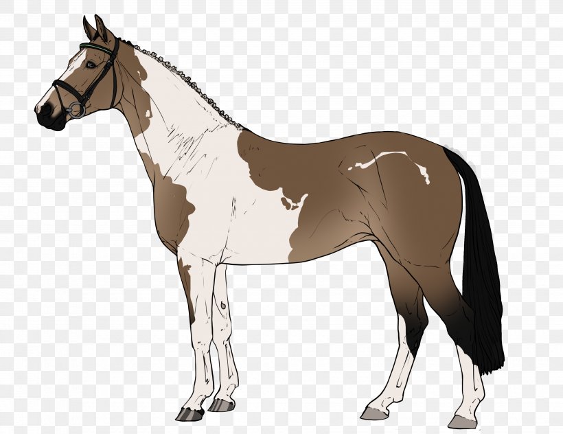 Foal Horse Stallion Mane Rein, PNG, 3500x2700px, Foal, Bit, Bridle, Colt, Equestrian Download Free