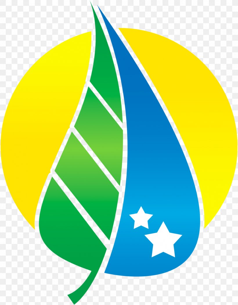 Leaf Symbol, PNG, 1097x1406px, Curacao, Environmental Volunteering, Essence, Foundation, Leaf Download Free