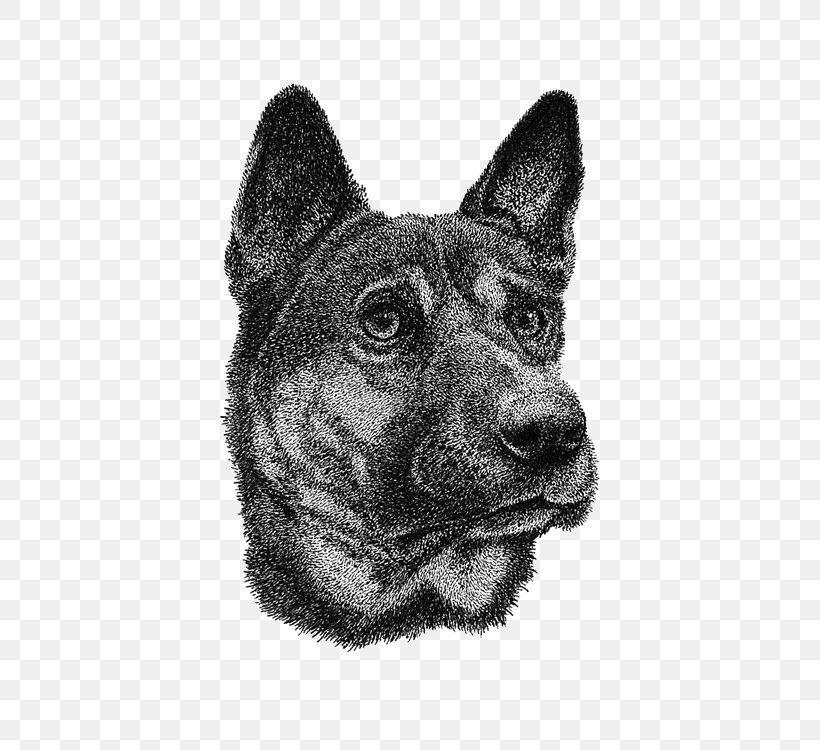 Norwegian Elkhound Australian Cattle Dog Rare Breed (dog) Drawing Illustration, PNG, 600x750px, Norwegian Elkhound, Animal, Australian Cattle Dog, Black And White, Breed Download Free