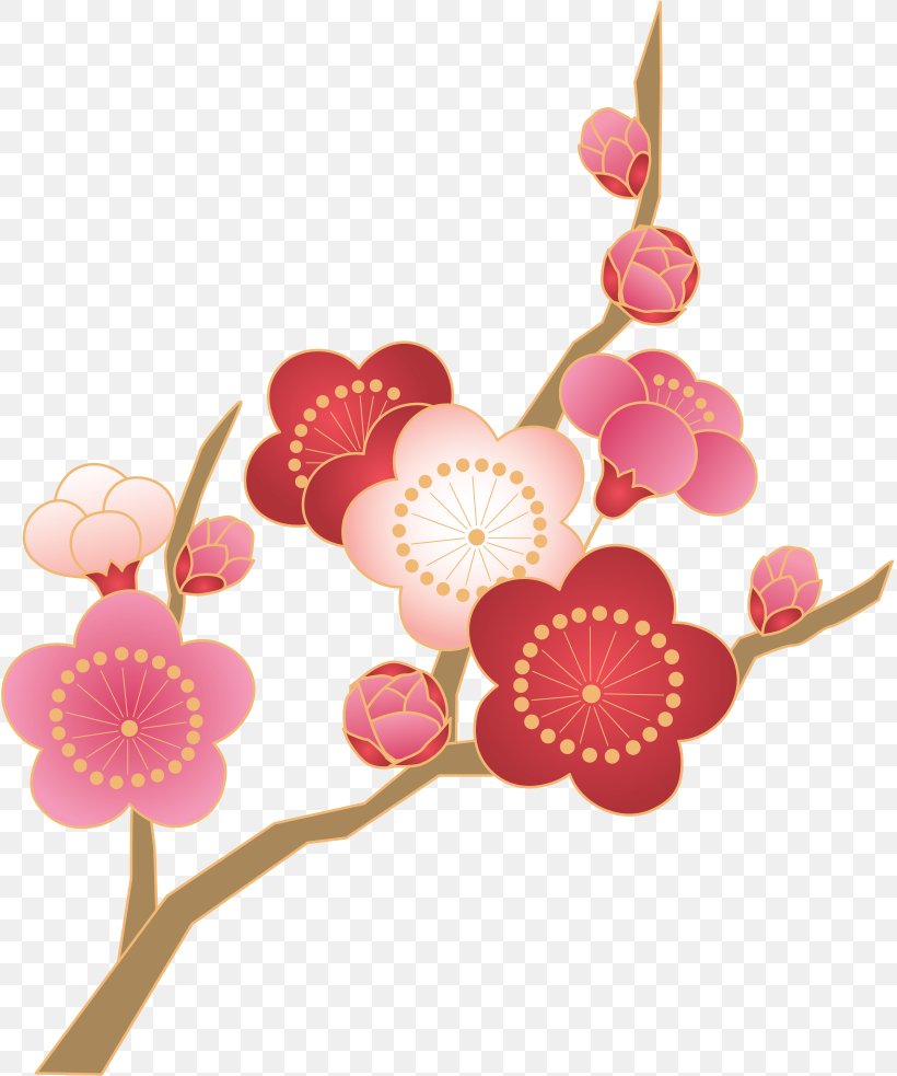 Plum Blossom Japan Thermoses Photography, PNG, 817x983px, Plum Blossom, Anthesis, Blossom, Branch, Cherry Blossom Download Free