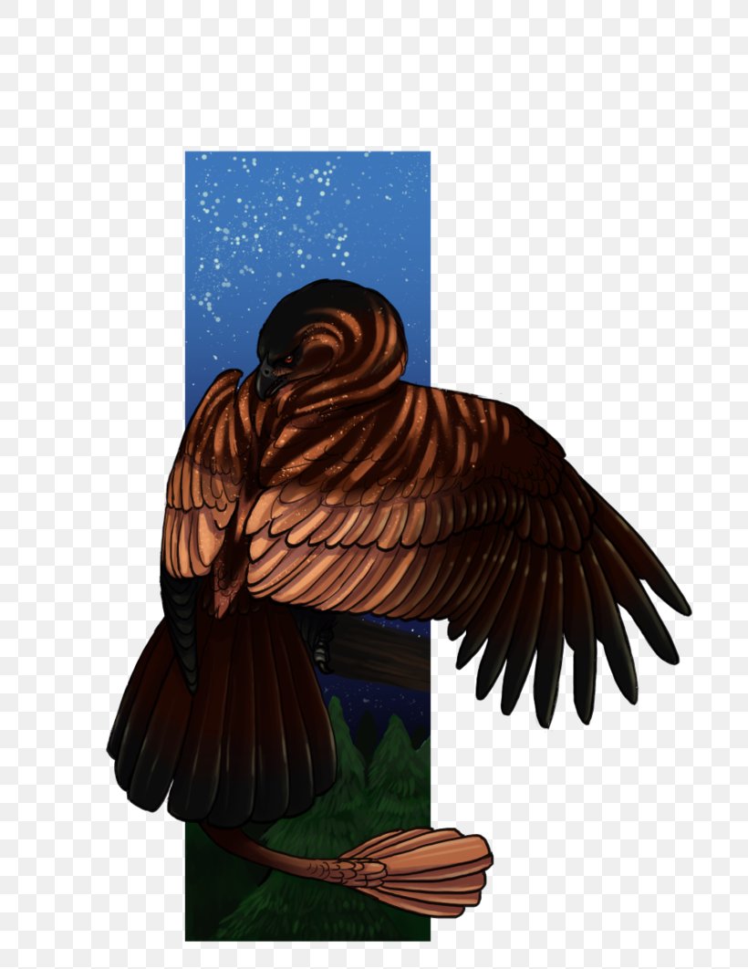 Bird Of Prey Beak, PNG, 752x1062px, Bird Of Prey, Beak, Bird, Wing Download Free