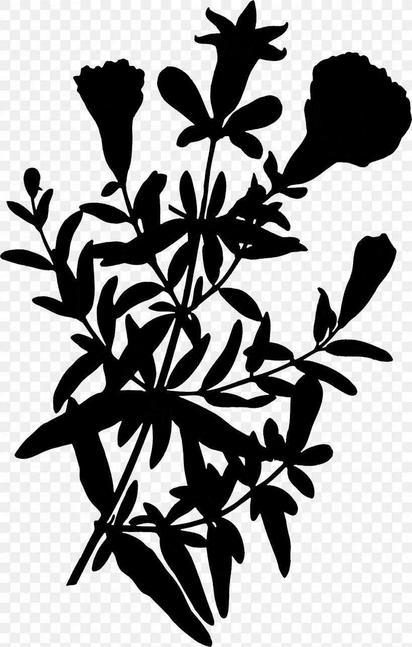 Flower Plant Stem Leaf Clip Art Pattern, PNG, 1512x2376px, Flower, Blackandwhite, Botany, Branch, Flowering Plant Download Free