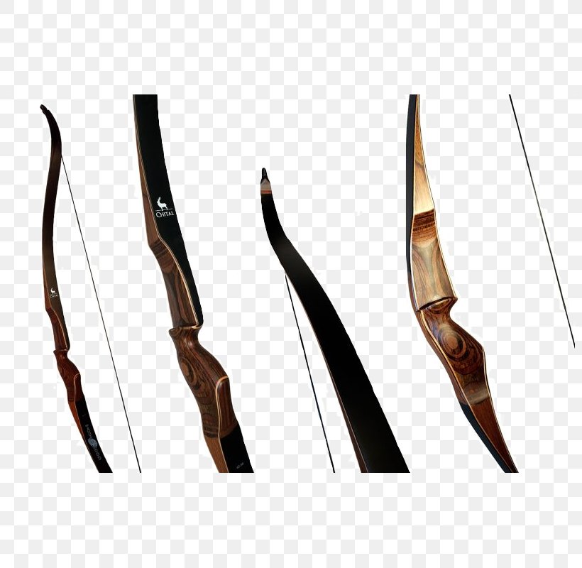 Hunting Archery Bow And Arrow, PNG, 800x800px, Hunting, Archer, Archery, Bow, Bow And Arrow Download Free