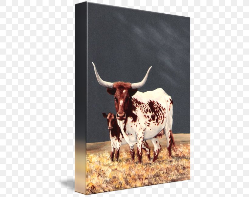 Texas Longhorn English Longhorn Ox Calf, PNG, 444x650px, Texas Longhorn, Art, Bull, Calf, Canvas Download Free