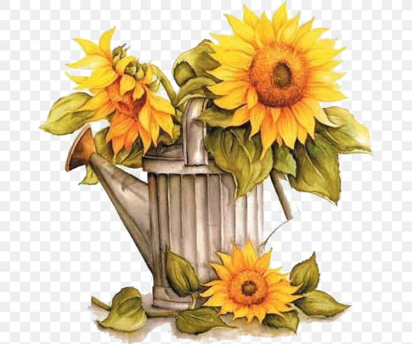 Watering Cans Common Sunflower Garden Clip Art, PNG, 669x684px, Watering Cans, Art, Common Sunflower, Cut Flowers, Daisy Family Download Free