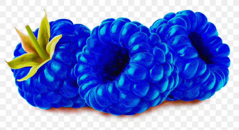 Blue Cobalt Blue Aqua Turquoise Electric Blue, PNG, 1000x548px, Blue, Aqua, Cobalt Blue, Dog Toy, Electric Blue Download Free