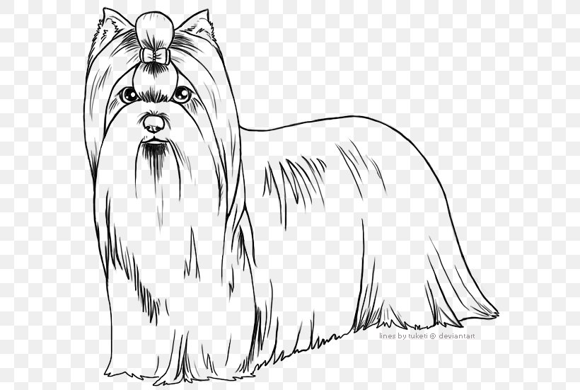 Dog Breed Toy Dog Yorkshire Terrier Line Art Whiskers, PNG, 600x551px, Dog Breed, Artwork, Black And White, Breed, Carnivoran Download Free