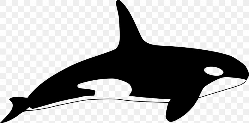 Killer Whale Dolphin Clip Art, PNG, 980x486px, Killer Whale, Animal, Baleen, Beak, Black And White Download Free