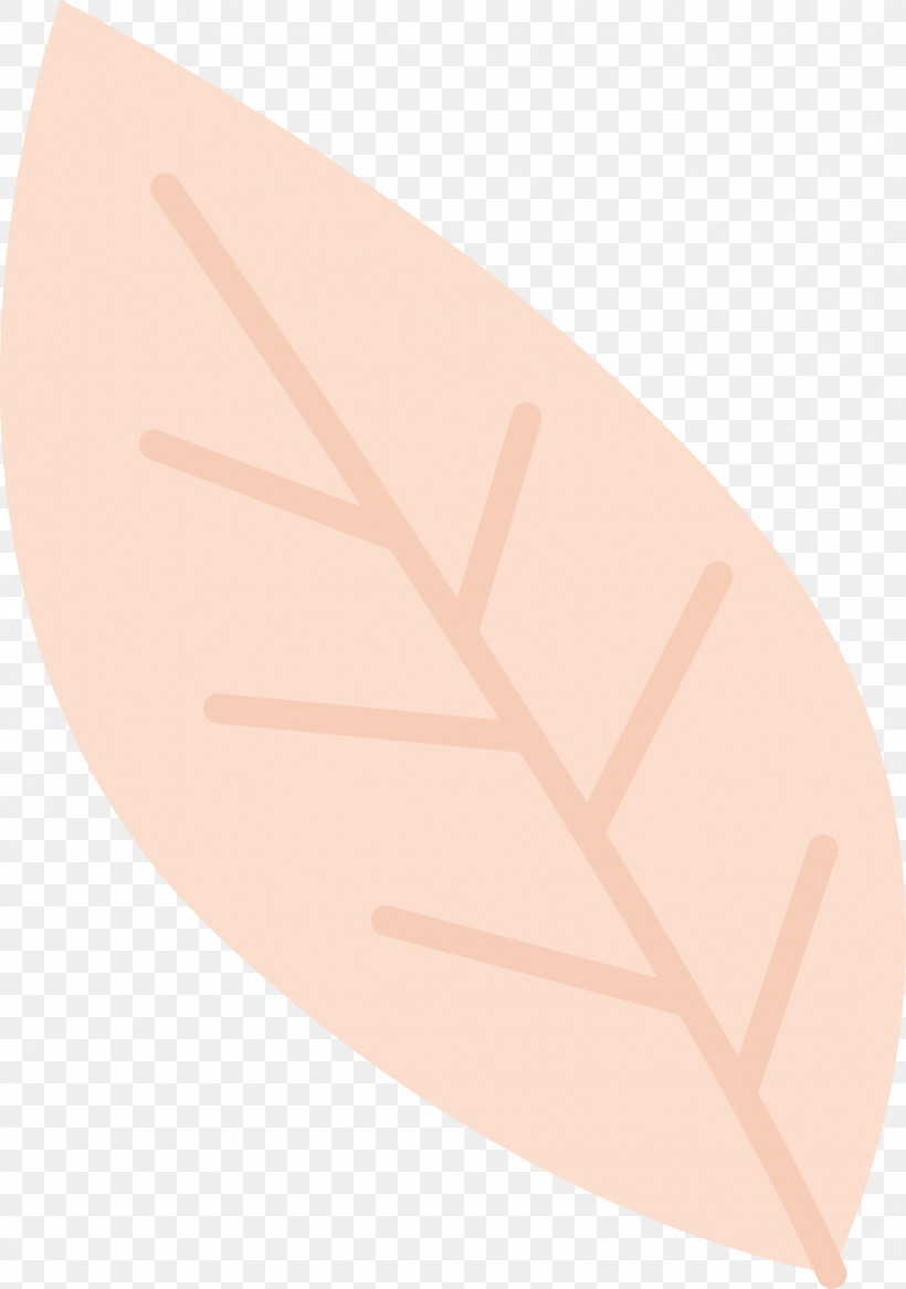 Peach, PNG, 2145x3051px, Peach Download Free