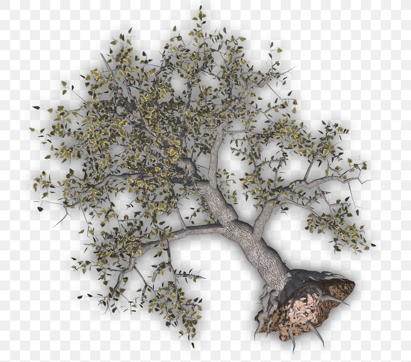 Twig Tree Clip Art, PNG, 760x723px, Twig, Branch, Felling, Forest, Free Content Download Free