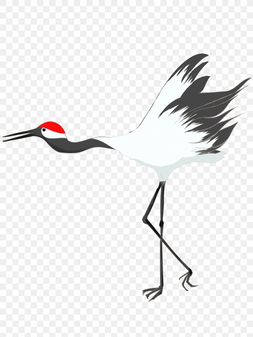 Water Bird Beak Wader Feather, PNG, 900x1200px, Bird, Beak, Black And White, Crane, Crane Like Bird Download Free