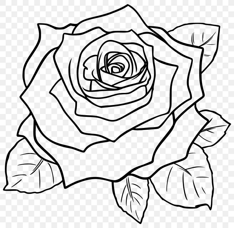 Black Rose Clip Art, PNG, 800x800px, Black Rose, Art, Artwork, Black, Black And White Download Free