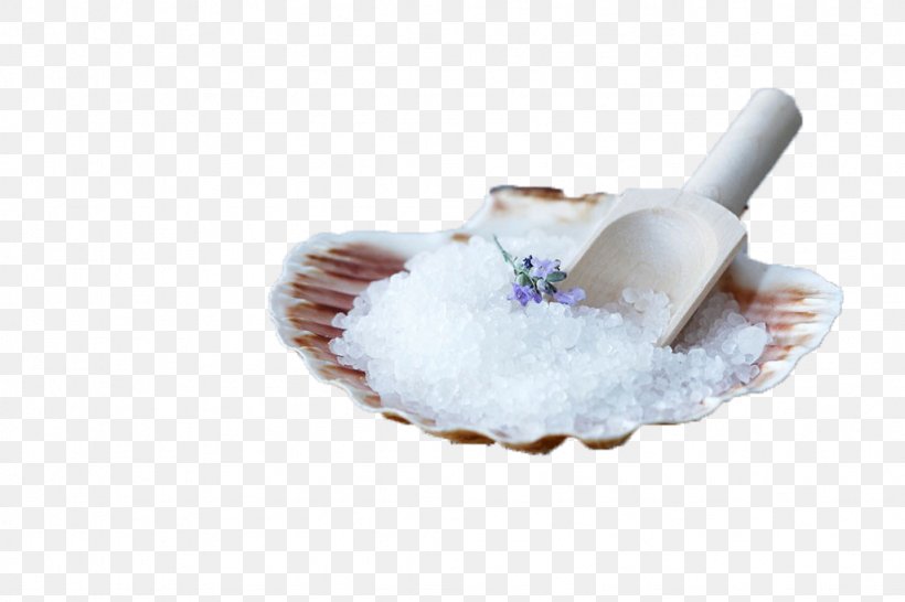 Clam Oyster Sea Salt, PNG, 1024x683px, Clam, Clamshell, Crystal, Cutlery, Google Images Download Free