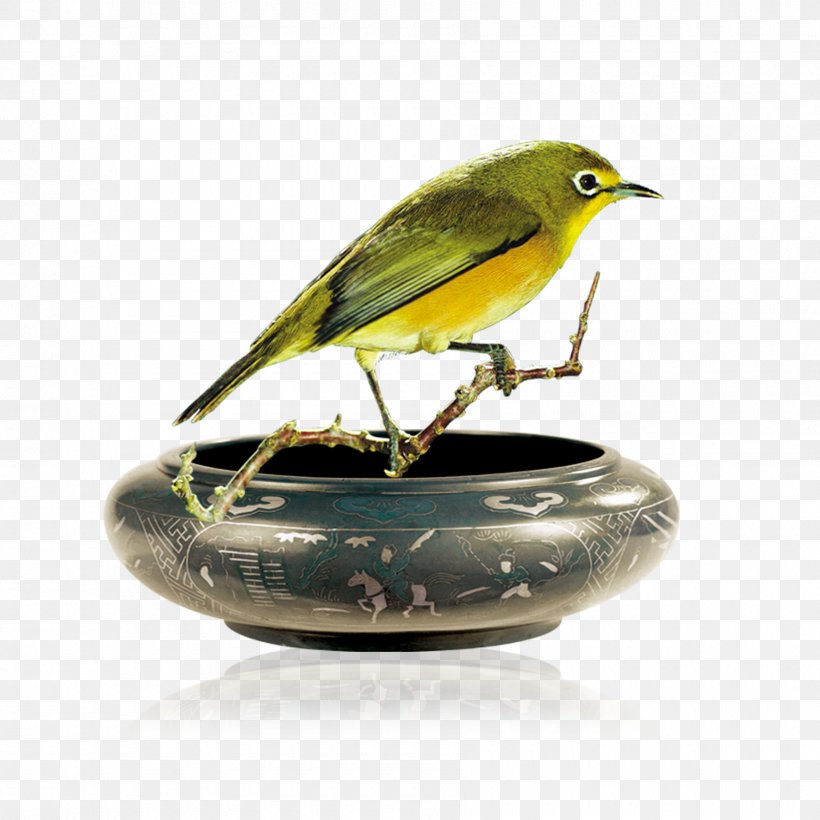 Ashtray Bird Icon, PNG, 1800x1800px, Ashtray, Beak, Bird, Designer, Fauna Download Free