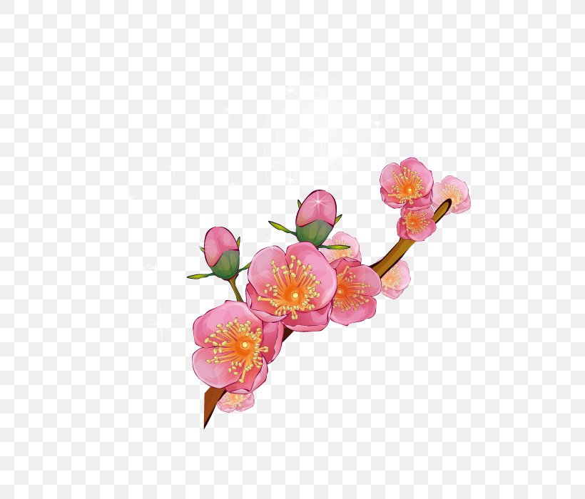 Download Illustration, PNG, 700x700px, Drawing, Blossom, Branch, Cherry Blossom, Cut Flowers Download Free