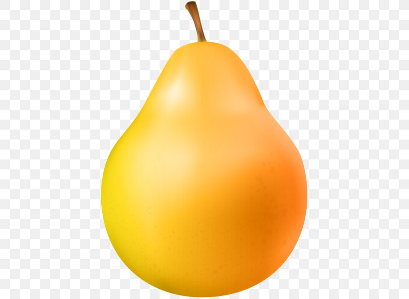 Pear Clip Art, PNG, 424x600px, 491 Gallery, Pear, Art Museum, Blog, Calabaza Download Free