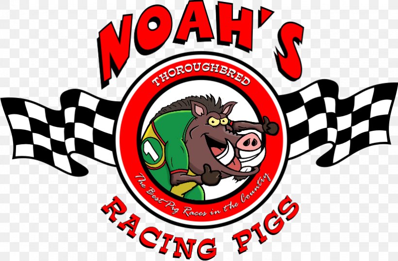 Pig Racing Thoroughbred Entertainment, PNG, 822x541px, Pig, Area, Artwork, Auto Racing, Brand Download Free