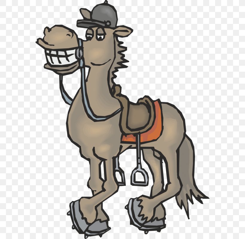 Pony Mustang Donkey Saloon Podkova Illustration, PNG, 800x800px, Pony, Camel Like Mammal, Cartoon, Coloring Book, Cowboy Download Free